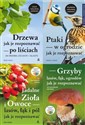 Pakiet: Ptaki/Drzewa/Grzyby/Jadalne zioła i owoce books in polish