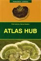 Atlas hub - Hanna Kwaśna, Piotr Łakomy