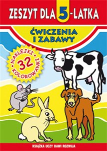 Zeszyt dla 5-latka Ćwiczenia i zabawy books in polish