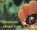 Słoneczne strony życia perełki buy polish books in Usa