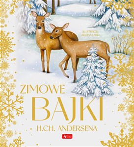 Zimowe bajki Hansa Christiana Andersena Bookshop