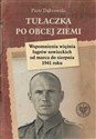 Tułaczka po obcej ziemi Wspomnienia więźnia łagrów sowieckich od marca do sierpnia 1941 roku books in polish