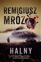 Halny  - Remigiusz Mróz