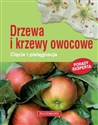 Drzewa i krzewy owocowe Cięcie i pielęgnacja buy polish books in Usa