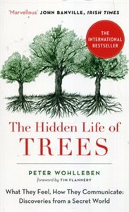 The Hidden Life of Trees  