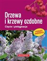 Drzewa i krzewy ozdobne Cięcie i pielęgnacja bookstore