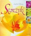 Storczyki Najpiękniejsze gatunki i mieszańce właściwa pielęgnacja i rozmnażanie online polish bookstore