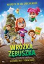 Wróżka Zębuszka DVD to buy in USA