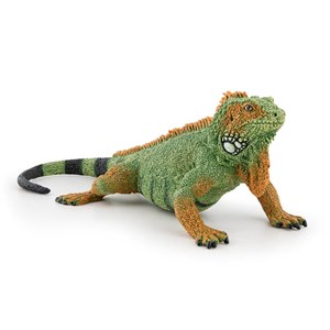 Iguana  buy polish books in Usa