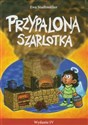 Przypalona szarlotka in polish