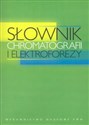 Słownik chromatografii i elektroforezy to buy in USA