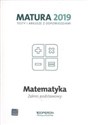 Matematyka Matura 2019 Testy i arkusze Zakres podstawowy Polish Books Canada