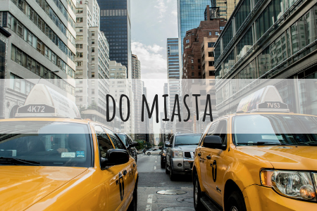 DO MIASTA