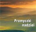 Perełka 141 - Promyczki nadziei pl online bookstore