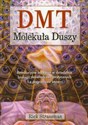 DMT Molekuła Duszy Rewolucyjne badania w dziedzinie biologii doświadczeń mistycznych i z pogranicza śmierci  