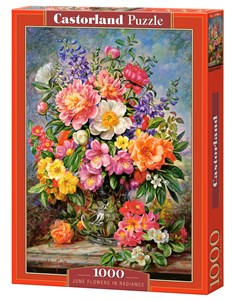 Puzzle 1000 June Flowers in Radiance C-103904 Polish bookstore