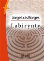 Labirynty Nowa antologia - Jorge Luis Borges