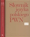 Słownik języka polskiego PWN Tom 1-2 Pakiet in polish