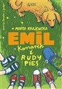 Emil, kanarek i rudy pies Bookshop