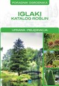 Iglaki Katalog roślin - Michał Mazik