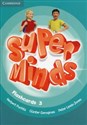 Super Minds Level 3 Flashcards (Pack of 83) buy polish books in Usa