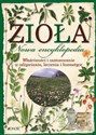 Zioła Nowa encyklopedia Właściwości i zastosowanie w odżywianiu, leczeniu i kosmetyce Bookshop