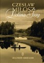 Dolina Issy Lekcja literatury z Markiem Zaleskim Polish Books Canada