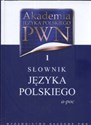 Akademia Języka Polskiego PWN 1 Słownik Języka Polskiego a-poc Polish bookstore