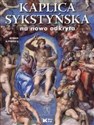 Kaplica Sykstyńska na nowo odkryta bookstore