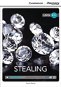 Stealing High Beginning Book with Online Acces Canada Bookstore