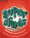 Super Minds American English 4 Workbook + online polish usa