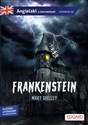 Angielski Frankenstein Adaptacja powieści z ćwiczeniami pl online bookstore