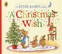Peter Rabbit A Christmas Wish in polish
