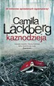 Kaznodzieja Fjällbacka. 2. - Polish Bookstore USA
