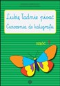 Lubię ładnie pisać Część 1 Ćwiczenia do kaligrafii - Agnieszka Czerkas-Polit, Katarzyna Sirak-Stopińska