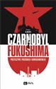 Czarnobyl i Fukushima Przyczyny, przebieg i konsekwencje bookstore