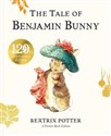 The Tale of Benjamin Bunny Picture Book polish books in canada