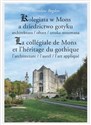 Kolegiata w Mons a dziedzictwo gotyku architektura/ołtarz/sztuka stosowana buy polish books in Usa