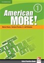 American More! Level 1 Extra Practice Book polish usa