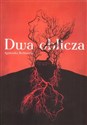 Dwa oblicza Polish bookstore