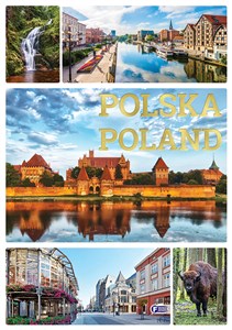 Polska Poland buy polish books in Usa