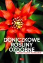 Doniczkowe rośliny ozdobne. Poradnik praktyczny Polish bookstore