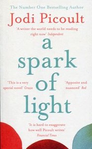 A Spark of Light Polish Books Canada