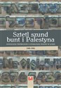 Sztetl szund bunt i Palestyna Antologia twórczości literackiej Żydów w Łodzi (1905–1939) 