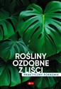 Rośliny ozdobne z liści. Poradnik praktyczny - Polish Bookstore USA