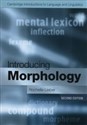 Introducing Morphology 