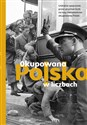 Okupowana Polska w liczbach - Aleksandra Zaprutko-Janicka, Dariusz Kaliński, Sebastian Pawlina, Martyna Grądzka-Rejak, Rafał Kuzak
