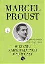 W cieniu zakwitających dziewcząt - Marcel Proust
