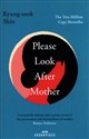 Please Look After Mother chicago polish bookstore