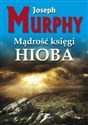 Mądrość księgi Hioba Żyj bez napięć - Polish Bookstore USA